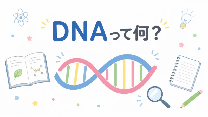 DNAとは何かを中学生向けにやさしく解説する記事のアイキャッチ画像